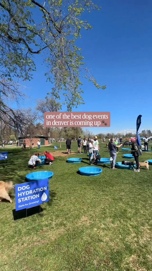 Get your squad together + help rescue dogs at the same time! 💗👟 The furry scurry benefitting @humanecolorado is May 2nd @ 9am. You can register to walk as an individual or team, bring your dog + pawty after ✨

#denver #colorado #dogfriendly