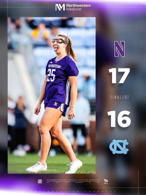CATS WIN 🤪