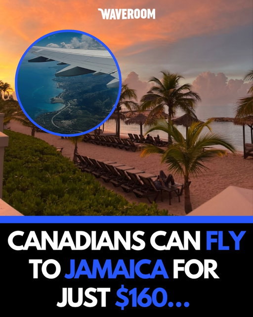 Follow @waveroom.toronto for more Toronto content!🇨🇦

Flair Airlines is offering flights from Canada to Jamaica for as low as $160 starting March 28. 🌴✈️ Limited seats available and prices may change quickly.

DM us your videos/photos to be featured on the page!

We aim to keep our space respectful. Hate/racism comments are not tolerated and will be removed to the best of our capabilities.

🏷️ #waveroom #waveroomtoronto #toronto #canada #mississauga