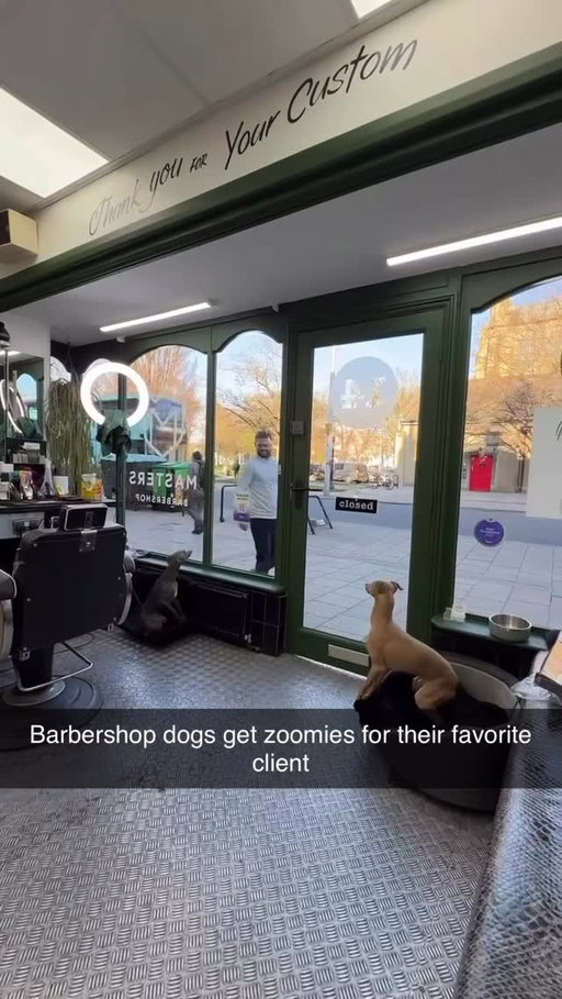 Best buds 🙌

(Credit: @thebarbershopdogs)