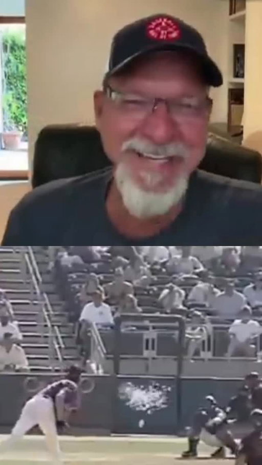 One of the wildest moments in baseball history 

In 2001, Randy Johnson threw a routine fastball… and a dove flew straight into it near home plate.

The odds? Almost impossible. A 95+ mph pitch meeting a bird at that exact point in space and time is the kind of moment you genuinely can’t script.

It was so shocking that even PETA reportedly looked into it. 

Johnson went on to become a National Baseball Hall of Fame inductee, one of the most dominant pitchers ever… but somehow, this is still one of the first clips people think of.

ht @patmcafeeshow