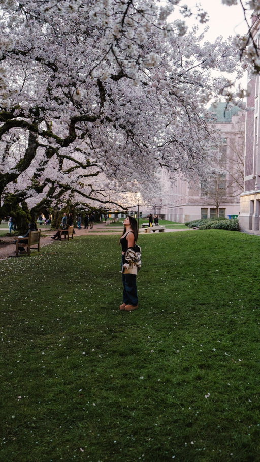 Seattle during cherry blossom season is absolutely BEAUTIFUL .. 😭🌸💘

📍University of Washington 

.
.
.
#seattle #universityofwashington #cherryblossom #usatravel