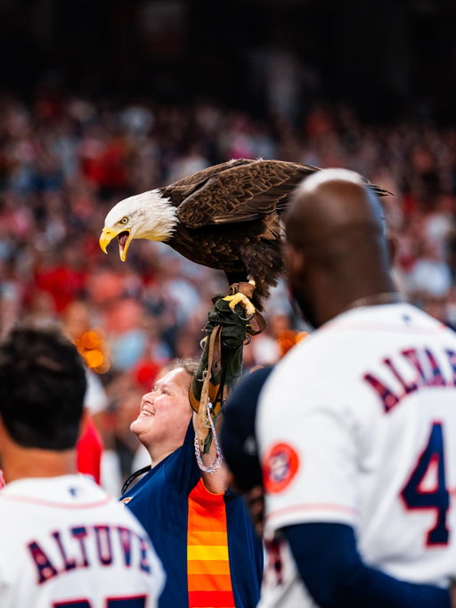Special thanks to @budweiserusa for bringing Lincoln the Eagle to fly during the anthem at our Home Opener!