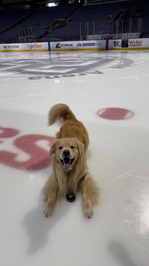 can you tell he likes it here? 🙈

#hockeylife #hockey #nhl #dayinthelife #morningroutine