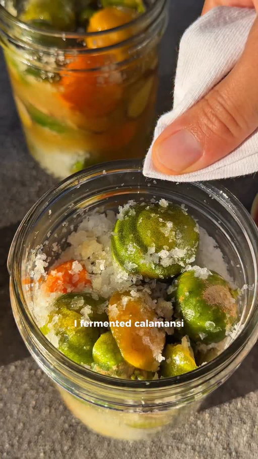 5 month calamansi update!! (pls comment other recipes i can use for this too!!!)

i really enjoyed the salted one and was very disappointed in the honey bc they didn’t really soften up🤨🙂‍↕️

i think i need to get one of those weights for pickling…

but will update in another 6 months for you guys to see how it changes, thinking of maybe having a fermented pop up with this as a bev (if i can get a bunch i think that would be super fun✨)