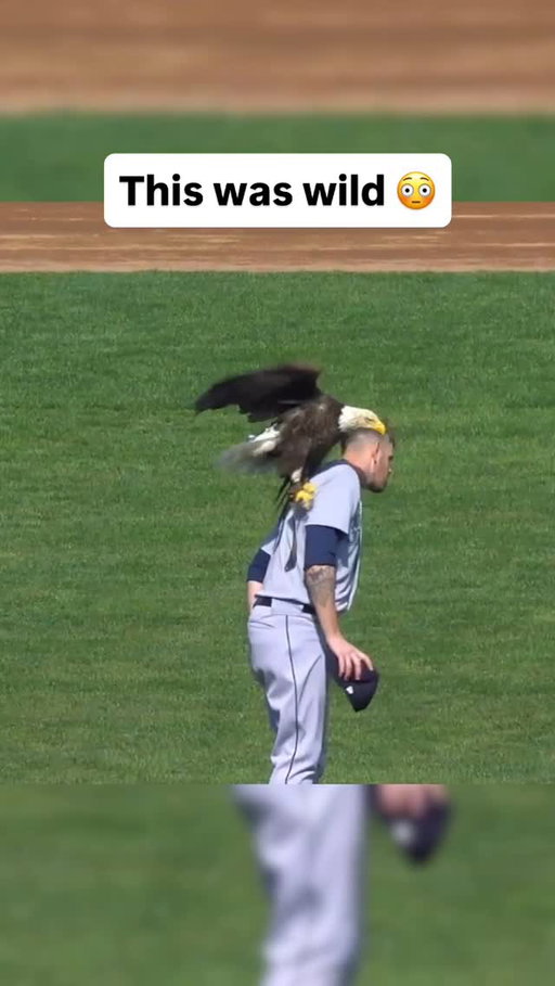 Imagine an eagle landing on your shoulder before a game 😳🦅 #MLBonNetflix 

#baseball #mlb #sports