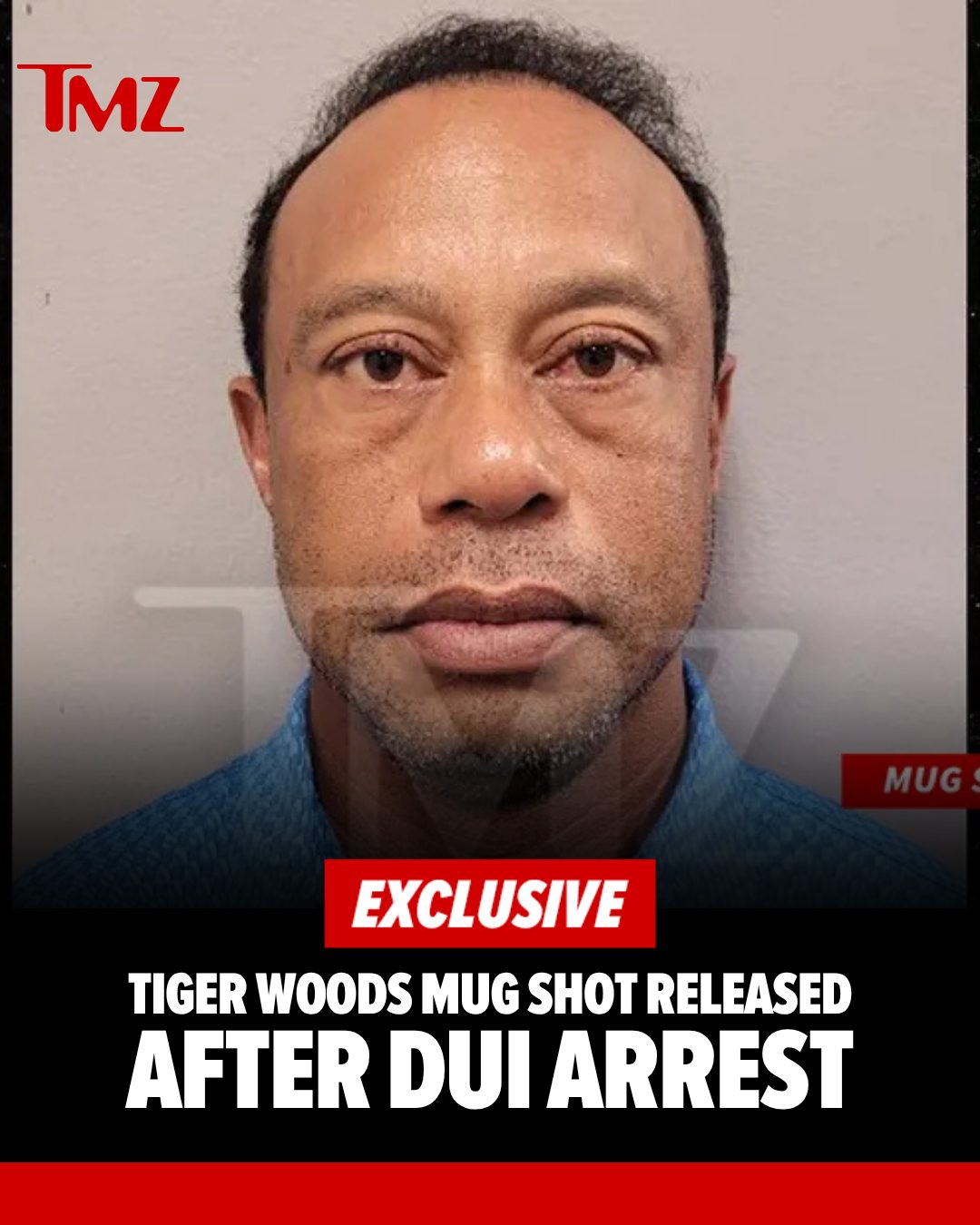 🚨 EXCLUSIVE: Tiger Woods' mug shot taken just after his arrest for DUI in Florida has been released.