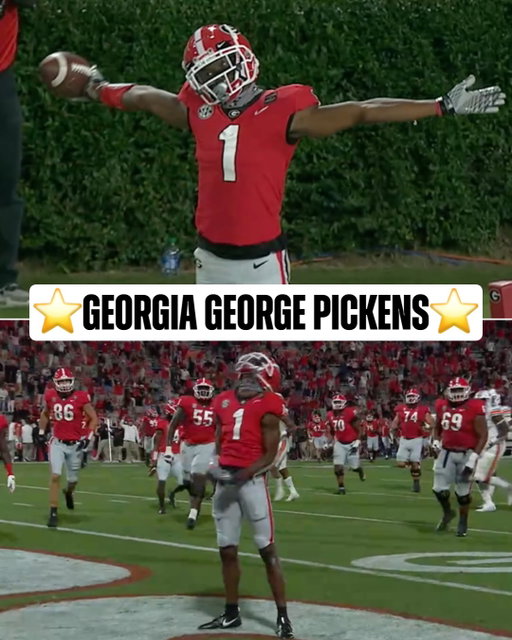 George Pickens has been that guy since his @georgiafootball days 🔥