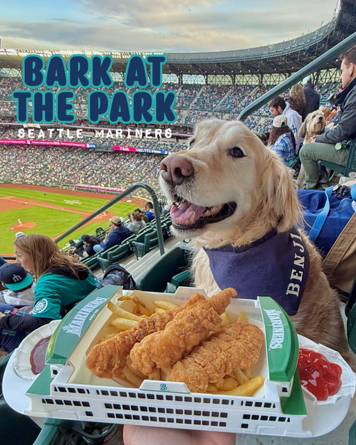 Happy opening weekend! This is your sign to take your dog to the ballpark! ⚾️

#barkatthepark #baseballgames #marinersbaseball #mlb #openingweekend