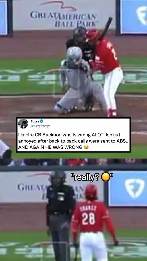 GET WRECKED BAD UMPIRES 👈🏻😂 #baseball #mlb #sports #majorleaguebaseball