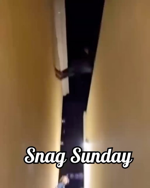 Welcome back from SB Redhawks. Only 6 more weeks of snagging until summer🥹😣🥀💔

#snag #snagsunday #springbreak #oxfordoh #miamioh