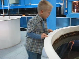 Raising my son was one of my greatest joys in life! I really miss these days.