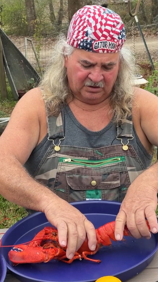 How to Eat a Lobster! #howto #lobster #reels