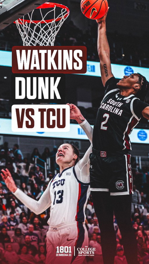 This moment was epic for @aashlyn__ 🐔🔥
•
•
•
•
#SpursUp #Gamecocks #SpursUp🤙🏻 #USC #SouthCarolina