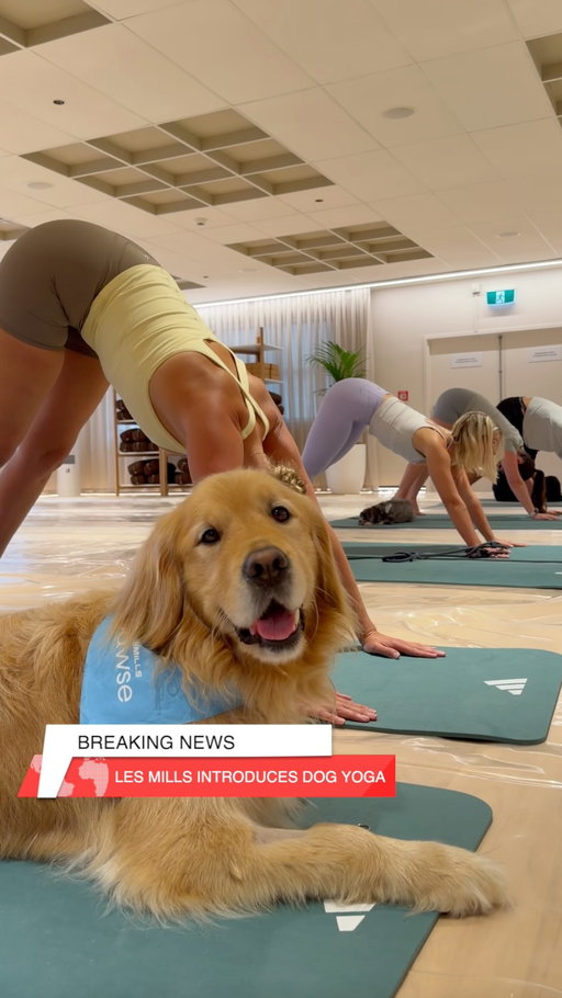 🚨 Breaking: Les Mills has launched “Pawse” 
yoga… with dogs. 

We’re not joking. Ok maybe a little.
Our reporter @w_cribb is on the scene.