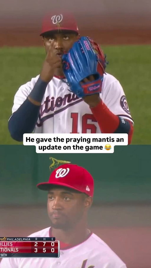 When a praying mantis landed on Victor Robles’ hat and he let it know how many outs there were 😂 #MLBonNetflix

#mlb #baseball #funny