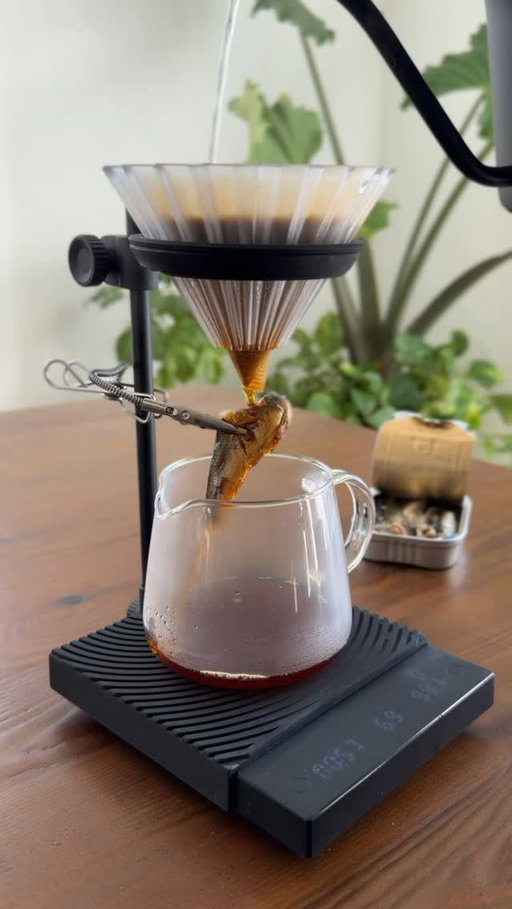 Sardine pour over