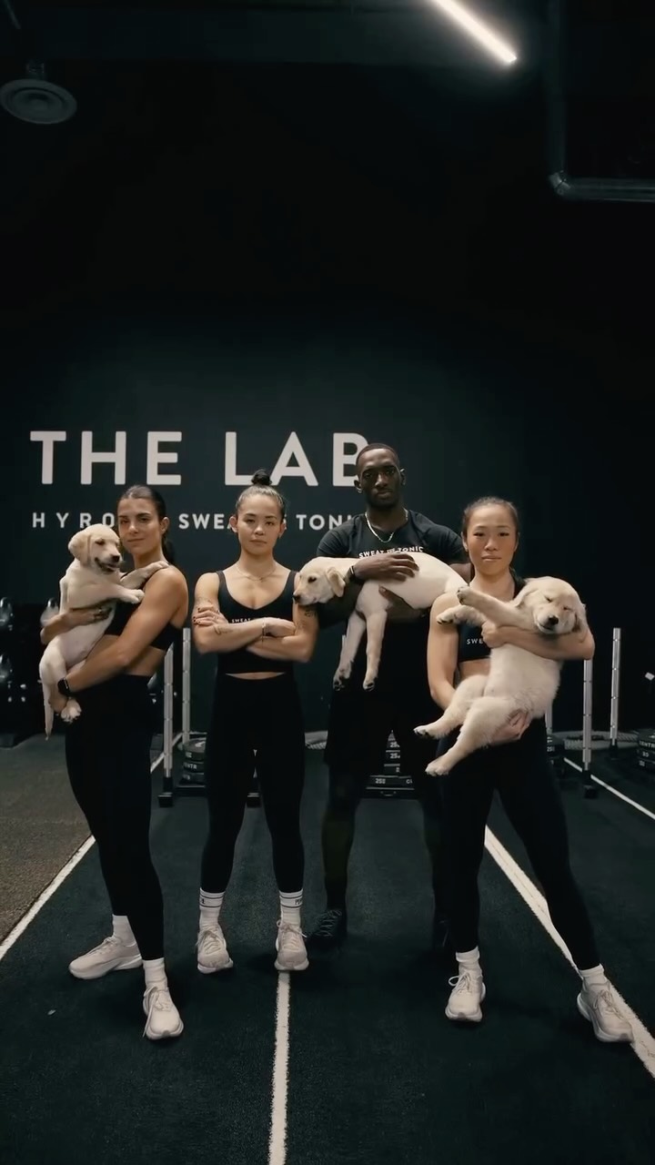 COMING SOON: LABS IN THE LAB 🐾⁠
⁠
Get ruff and ready - we’re bringing the goodest trainers to The Lab to level up your @hyroxca training. Test your stamina and patience with dog sleds, bouncy balls, squeaky toys, and high impact tail-wagging intervals - 50 seconds on, 10-second potty break.⁠
⁠
To celebrate the launch, we’ve got a limited-time ✨GIVEAWAY✨⁠
The first 100 attendees will receive a complimentary potty-trained labrador puppy and a lifetime supply of organic freeze-dried chicken treats.⁠
⁠
Bonus entry: Like this post, tag a friend in the comments, and share to your stories.⁠
⁠
Increase serotonin, decrease focus, and learn new tricks - set your alarms for the ulti-mutt sweat ⏰ Giveaway ends Caturday, April 31, 2026.⁠