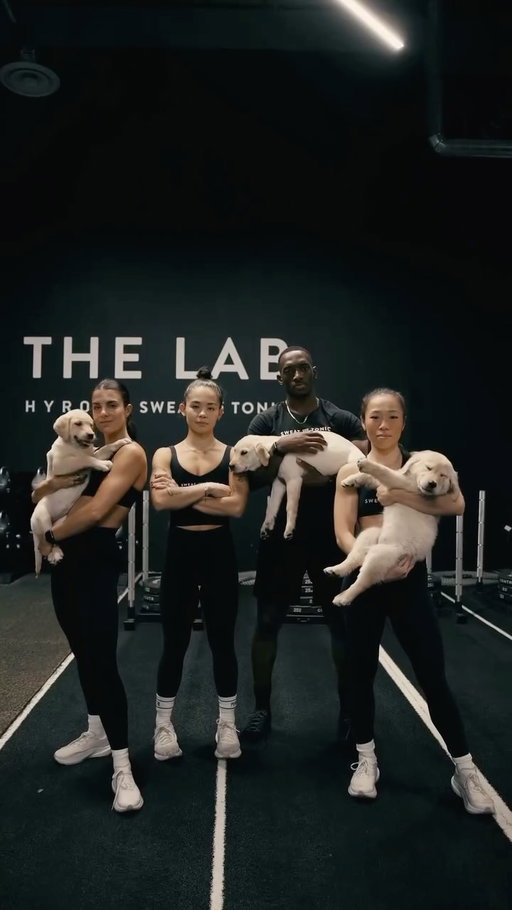 COMING SOON: LABS IN THE LAB 🐾⁠
⁠
Get ruff and ready - we’re bringing the goodest trainers to The Lab to level up your @hyroxca training. Test your stamina and patience with dog sleds, bouncy balls, squeaky toys, and high impact tail-wagging intervals - 50 seconds on, 10-second potty break.⁠
⁠
To celebrate the launch, we’ve got a limited-time ✨GIVEAWAY✨⁠
The first 100 attendees will receive a complimentary potty-trained labrador puppy and a lifetime supply of organic freeze-dried chicken treats.⁠
⁠
Bonus entry: Like this post, tag a friend in the comments, and share to your stories.⁠
⁠
Increase serotonin, decrease focus, and learn new tricks - set your alarms for the ulti-mutt sweat ⏰ Giveaway ends Caturday, April 31, 2026.⁠