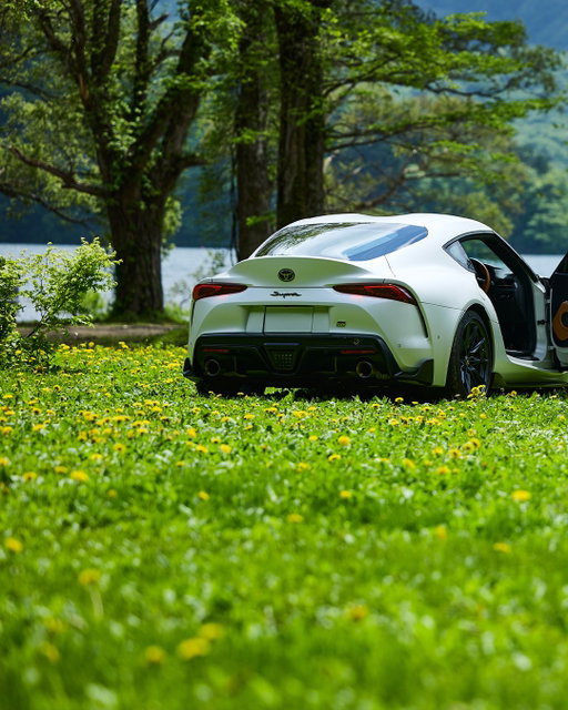 Valet parking is getting really wild.

#TOYOTA #GRSupra #SportsCar