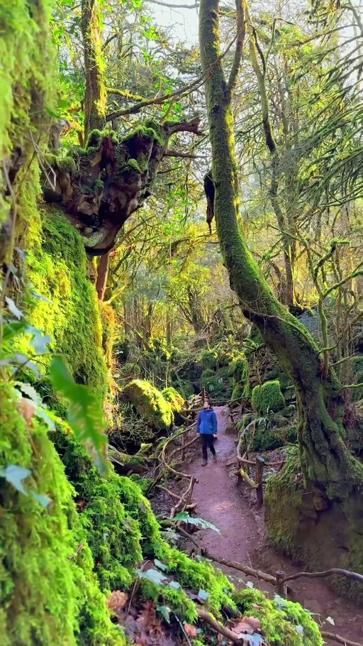 Is this the closest thing to middle earth in the UK? 🤔💍✨

(FOLLOW @lockdownmadeustravel for more beginner friendly travel inspo)

We just found one of the most magical forests in the UK… and it’s believed to have inspired J.R.R. Tolkien when creating middle earth. 🧙‍♂️🌿

📍 Puzzlewood, Perrygrove Rd, Coleford, GL16 8QB

Hidden inside the Forest of Dean, this ancient woodland is full of moss-covered rocks, twisted trees, and winding paths that look like they’re straight out of a fantasy film.

Tolkien grew up nearby and is thought to have visited this area, with many people believing Puzzlewood helped inspire the landscapes of The Lord of the Rings. 💍

The forest has also been used as a filming location for productions like Harry Potter, Star Wars, and Merlin thanks to its storybook feel. 🌌

It honestly feels like you’ve stepped into a real-life fantasy world… right here in the UK. 🌳✨

Things you need to know before visiting 👇🏼

🚗 Just over 2 hours from London / Heathrow
🥾 Wear walking boots (it gets very muddy in winter)
🐶 No dogs allowed 🚫
🚁 No drones or tripods permitted 🚫
💷 £9.90 adults / £8.50 children
🌐 Opening times change throughout the year
☕️ Toilets & refreshments available on site

Would you explore this real-life Middle-earth? 🤔

#uktravel #beginnertraveler #forestofdean #adventures #forest