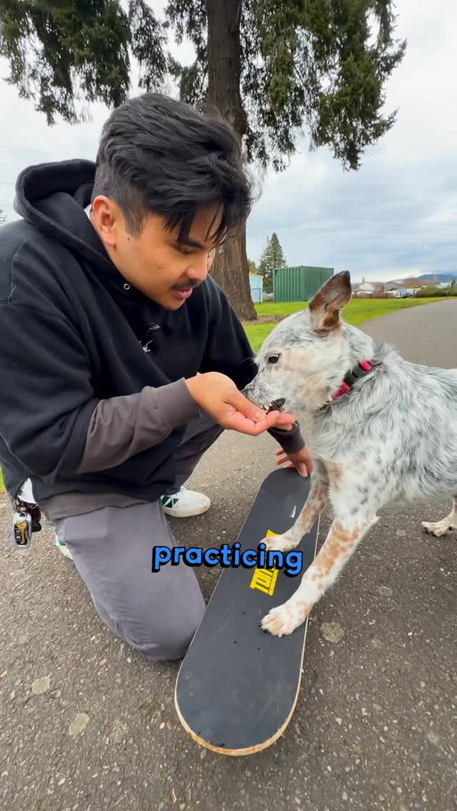 skateboarding dog was not on our 2026 bingo card