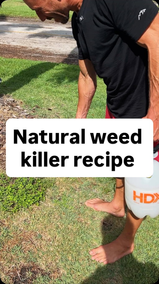 Non-toxic herbicide recipe…

People tend to underestimate the negative effects herbicides and pesticides can have on our health… 

The Environmental Working Group (EWG) has spoken extensively about the harmful effects of these substances and why they should be avoided…

I strongly believe limiting your exposure to these chemicals will improve your quality of life…

Welcome to #theremembering 🏹