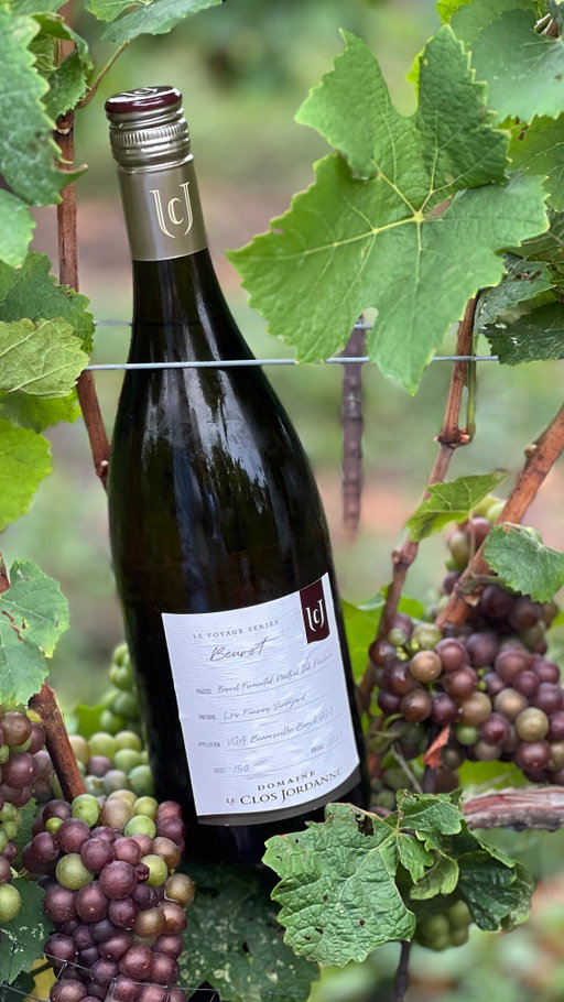 A great bottle of wine starts with purpose and passion. 

Thomas Bachelder has spent over the last three decades studying the unique properties of Niagara terroir. From the vineyard to the glass, every detail is shaped by a love for the craft. 

Discover what passion tastes like at the link in our bio.

#NiagaraWinery #ThomasBachelder #AwardWinningWines #BurgundianStyleWines #OntarioVineyard