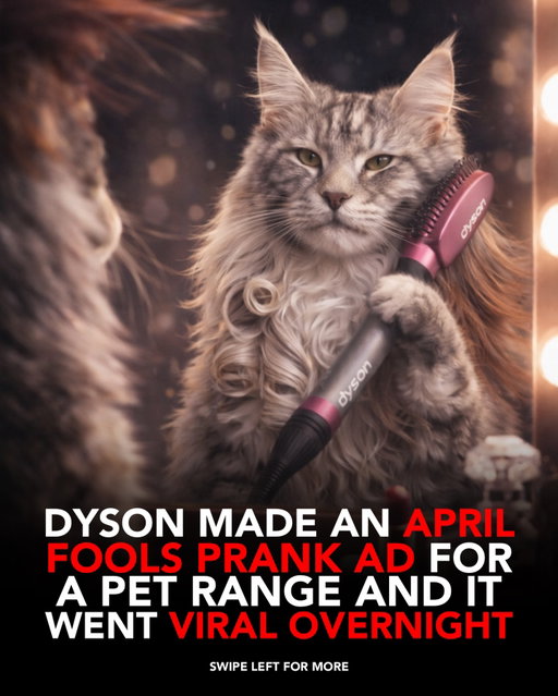 Dyson released an April Fools ad introducing a “pet range” for grooming animals.

The idea was simple.
Take their premium hair tools and apply them to pets.

Same design. Same tone. Same level of detail.

Everything about it looked like a real product launch.

That’s why it worked.
People didn’t immediately question it.

The ad stayed completely on-brand, which made the concept feel believable.

Instead of going overly comedic, they treated it like a serious release.

And that’s what made it stand out.

It blurred the line between joke and reality and ended up going viral because of it.

@dyson 

Follow @biz.insider for more creative campaigns.
