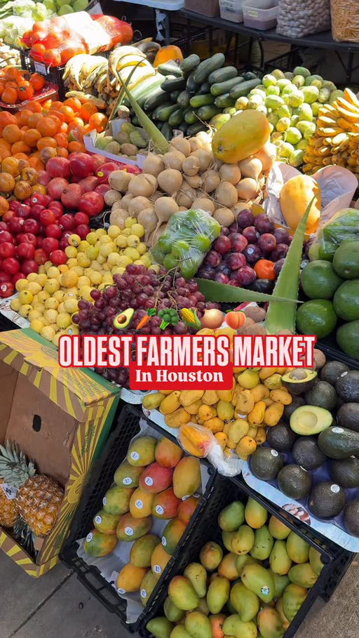 One of my favorite things to do in Houston @houstonfarmersmarket 🤠🌿

The Houston Farmers Market has been serving the city since 1942 and is home to 40+ vendors with fresh produce, spices, and unique finds 🍉🌶️

It’s also one of the best spots for casual bites. Grab a burger from @underbellyburger, tamales from @alamotamales, or swing by @dropshotshtx for drinks, bar bites, and a little pickleball. 🎾

Need a pick-me-up? Stop by @marketbarheights inside @shoplocalmarket, then grab premium Texas Wagyu from @rcranchtx to cook at home. 🥩

📍 2520 Airline Dr, Houston, TX