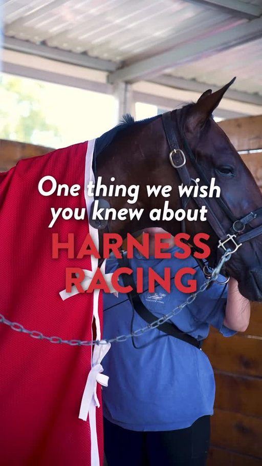 The harness racing community is unlike any other. There’s drivers, grooms, trainers, and fans all supporting the sport and the horses. 

You can be a part of the harness racing community this Summer at The Red Mile!

#redmile #harnessracing #lexingtonky #standardbred