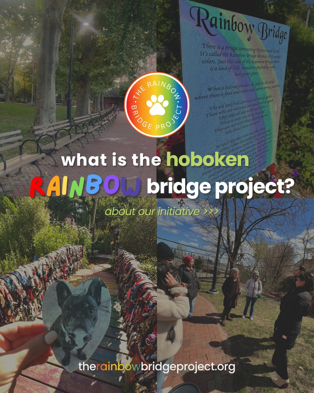 Hello 🌈 we wanted to share a bit more about our project: The Hoboken Rainbow Bridge memorial is in the works for Hoboken, bringing a meaningful new space for the community to honor beloved pets who have passed ⛅️ 

The project was inspired by a visit to the flowering bridge in Lake Lure, North Carolina, and has since grown into a local effort led by Hoboken resident and The Local Girl Media Group founder, @thejennifertrip , alongside Mayor Jabbour, Councilwoman Fisher, and a group of local pet lovers.

Planned for the southeast corner of Elysian Park along the waterfront, the Rainbow Bridge memorial will serve as a peaceful place for reflection, remembrance, and shared healing for anyone who has experienced the loss of a pet.

The initiative is currently in the planning stages, with support from Stevens students and ongoing collaboration with local stakeholders. Our fundraising campaign has officially launched to help cover materials and construction costs!

The project’s nonprofit partner is @wiseanimalrescue, a local organization dedicated to saving and supporting animals in need. Any funds raised beyond what is required for the build and launch will be donated directly to the rescue.

If you feel connected to our mission, we welcome contributions via our Go Fund Me which can be found at TheRainbowBridgeProject.org.

Once built, we’re excited to host a ribbon cutting and memorial collar placement once the bridge is complete.

Follow along @therainbowbridgeproject 🌈