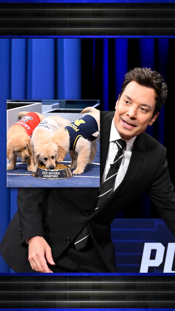 Tonight Show Puppy Predictors: Final Four Edition! 🐾🏀 @marchmadnessmbb #FallonTonight #FinalFour #MarchMadness