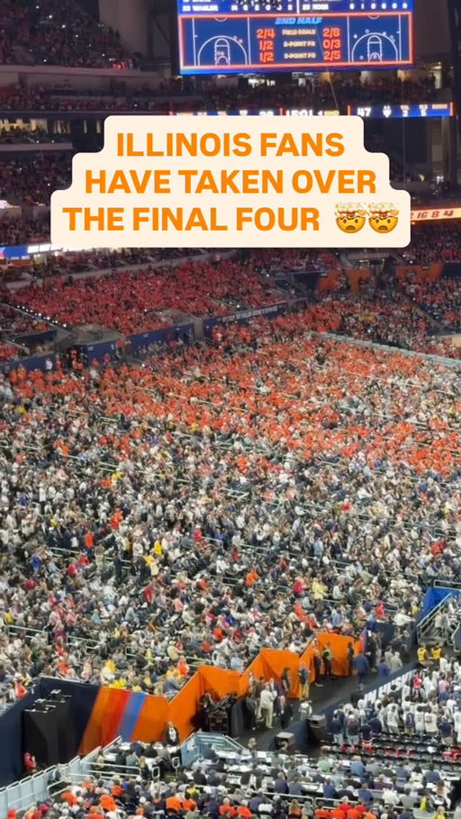 SO. MUCH. ORANGE!! I-L-L!!
