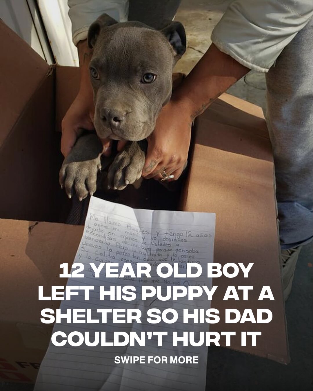 Who’s the dad? I just wanna talk 😮‍💨

Back in 2020, A 12 year old boy in Mexico named Andrés brought his puppy to a shelter with a note, saying he loved him but needed to keep him safe from his abusive father. The story quickly went viral & thankfully the puppy was quickly adopted into a safer home. 

[via/ RefugioXollin]