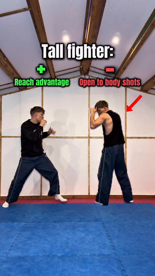 Pros and cons of different fighters…