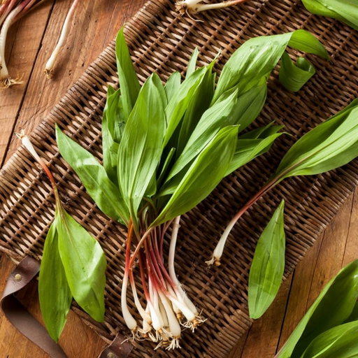 🍃
The wild one everyone waits for.
Garlicky, bold, and gone before you know it. 

Pick some up before they’re gone.

#UnionMarketNYC; #UnionMarketNYCSeasonal; #UnionMarketBrooklyn;
#BrooklynEats #NYCFood