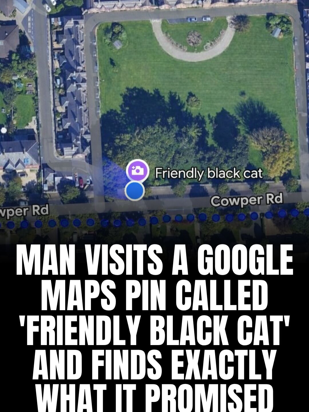 An Irish man named Noel Rock stumbled upon a curious pin while scrolling through Google Maps — a spot simply labeled “friendly black cat.” At first, it felt like one of those random internet jokes or hidden Easter eggs people leave behind for fun. But intrigued, he decided to visit the exact location to see if there was any truth to it.

Turns out… it was completely real.

Right where the pin was dropped, a black cat was waiting — and just as promised, it was incredibly friendly, greeting visitors and happily soaking up attention. The cat seemed to be a local favorite, casually making friends with anyone who passed by. Noel shared the moment online, and it quickly went viral for being one of the internet’s most unexpectedly wholesome finds. 🐾

Via: Noel Rock / X

#catsofinstagram #ireland #funny #viral #storytelling