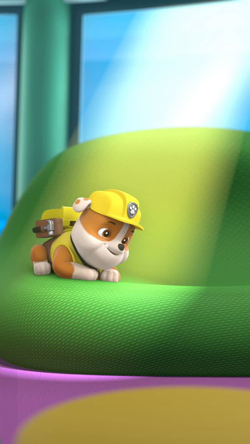 He protect. He serve. He chase the sunbeam.☀️🐾

#PAWPatrol
