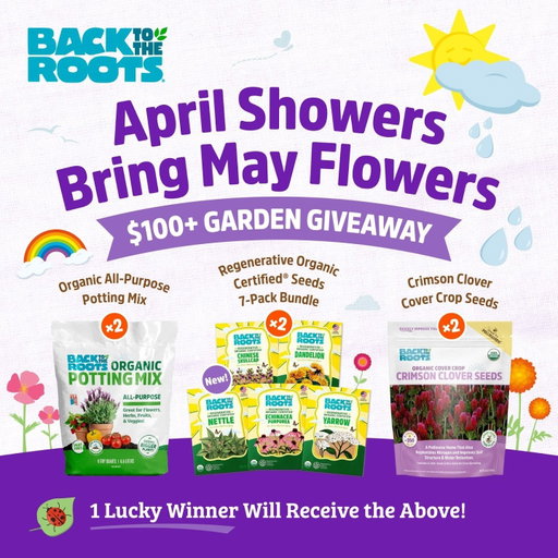 ☂️🌷April Showers Bring May Flowers $100 Giveaway! 🌷☂️

There’s a high chance of stunning blooms, flavorful produce and a reconnection with where your food comes from this gardening season… 

Raining down with the prizes, one lucky winner will receive the below to grow with a friend:

2 x Organic Potting Mix - 6 qt. 
2 x Crimson Clover Cover Crop Seeds
2 x NEW Regenerative Organic Certified (ROC) Seeds - including 7 varieties! 

To enter: 

1. Follow @backtotheroots_official.
2. Comment ‘WINNER’
3. Tag a friend you want to grow with. 

No purchase necessary. Contest ends 11:59 PM CT on 4/21/26. Open to US shipping addresses only. The winner will be notified via DM after contest end date. Void where prohibited. This contest is in no way sponsored, endorsed, administered by or associated with Instagram.

#organicgardening #gardeninggiveaway #gardengiveaway