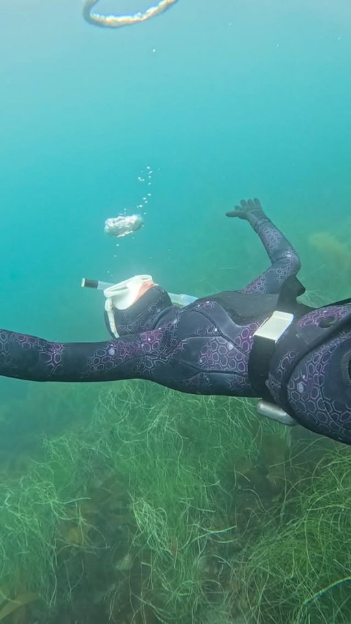 such a pretty day diving in San Diego
