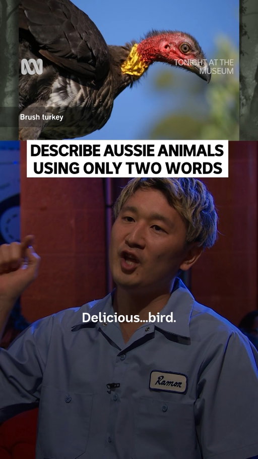 “Natalie Portman” 😆

Tonight At The Museum - Stream now on ABC iview

#TonightAtTheMuseum #AussieAnimals #Australia