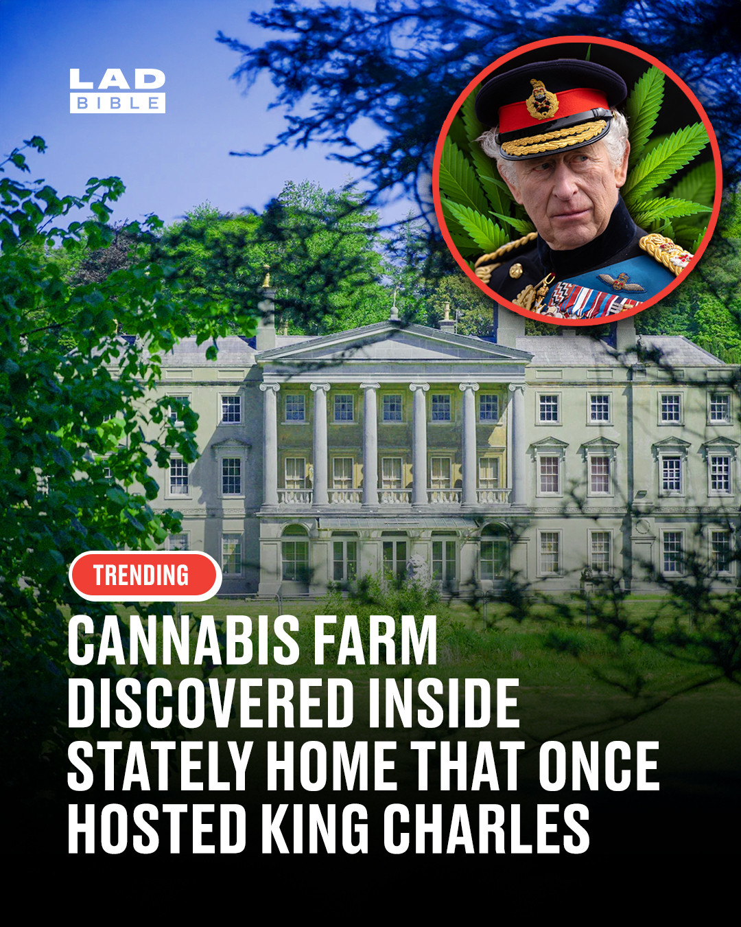 Not quite the kind of “green” this estate was known for.⁠
⁠
Police have uncovered a large cannabis farm inside a historic Welsh stately home that once hosted King Charles.⁠
⁠
Officers raided Plas Glynllifon near Caernarfon after suspecting drug activity, discovering what they described as a “significant grow” spread across around 12 rooms on the top floor. No arrests have been made so far and enquiries are ongoing.⁠
⁠
The Grade I listed mansion, which has more than 100 rooms, was once owned by Lord Newborough and hosted events linked to the Prince of Wales’ 1969 investiture. In recent years it has faced failed redevelopment plans, including attempts to turn it into a luxury hotel.⁠
⁠
Police said the building’s electrics had been tampered with and water supplies diverted, leaving parts of the property in disrepair as forensic work continues.