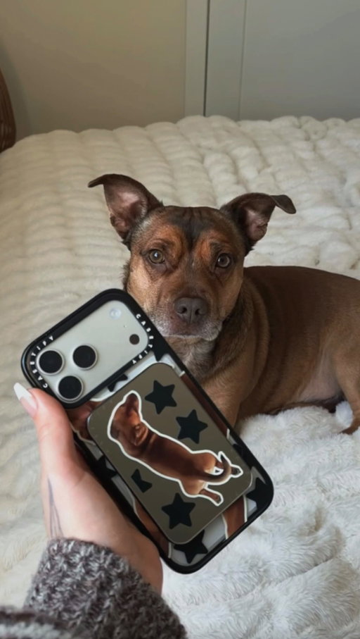 Can a phone case get any cuter??? (The answer’s no)

Shop the pet collection phone cases at CASETiFY.com

#CASETiFYpartner, #AD #CASETiFY