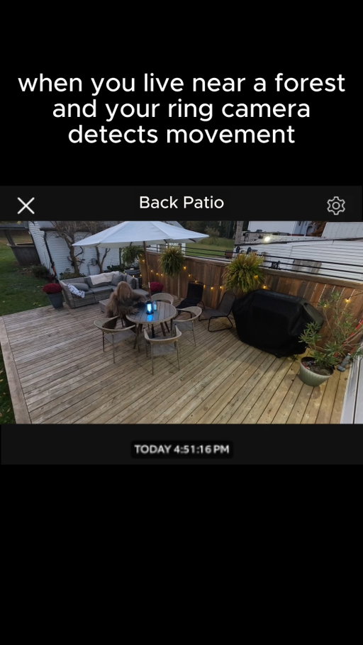 You never know what’s going on in people’s homes, or on their patios 😊

#snacking #JackLinksCanada #sasquatchsighting
