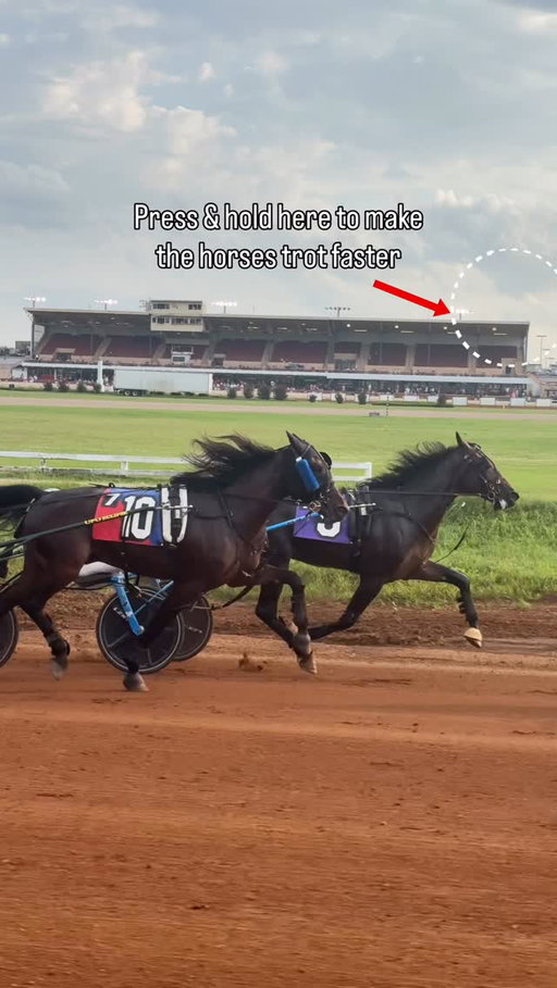 It’s your turn to be the driver! 🐎

#redmile #harnessracing #lexingtonky #sharethelex #standardbred