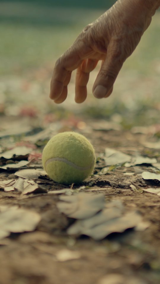 Join the Green Dot Ball community and stand a chance to win* exclusive Tata IPL merch and tickets daily.

All you have to do is:

1. Follow us on @greendotball
2. Comment your city below and tag 3 friends who'd love to join in!
3. Share this post to your story and tag us!

*TnC Apply.

[ Green Dot Ball, Spot The Green Dot, Tata IPL, Tata Indian Premier League, Sustainability, Green Planet, Go Green, Eco Friendly, Environment, Plant More Trees, Save The Earth ]