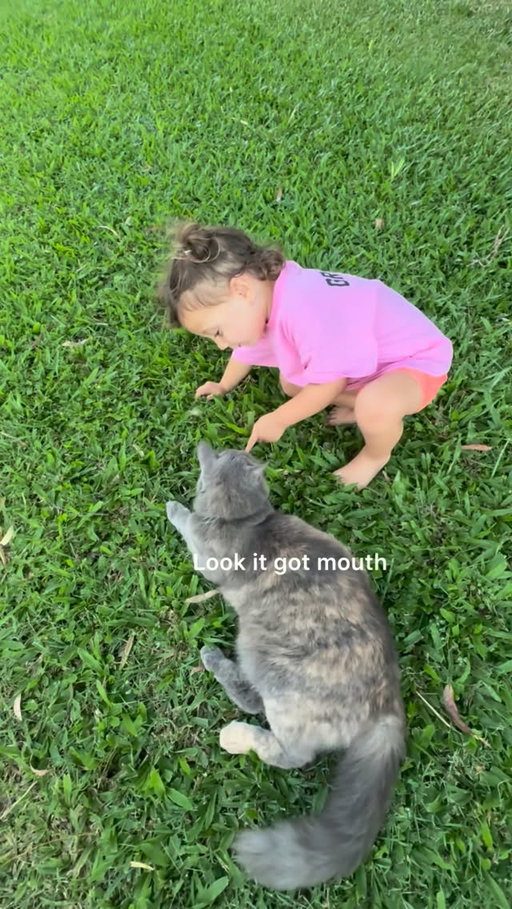 Our little animal lover 🐈‍⬛🥹