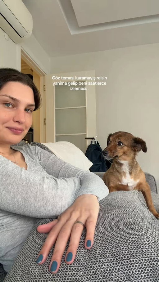 Butun gun bana boyle kitleniyo