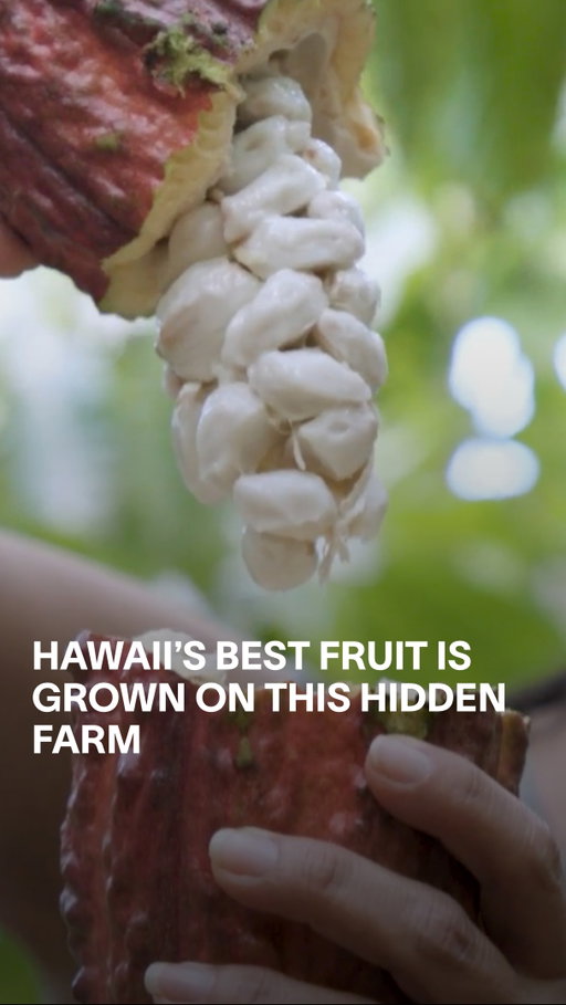 @kahukufarms on the North Shore of O'ahu in Hawaiʻi is hiding in plain sight. Tucked on the side of a stunning coastal highway, if you know where to stop, you'll find Kylie and Judah serving up a variety of healthy treats -- acai bowls, smoothies, paninis, you name it. But what makes this place special is they brought the cafe right to the farm. Right on sight you'll find a variety of bountiful tropical fruits to harvest -- from apple bananas to passionfruit to cacao. Kylie and Judah run their business guided by a principal of Aloha Aina, which roughly translates to "Love of the Land."

Made in Partnership with Hawai‘i Visitors & Convention Bureau (@hvcb).